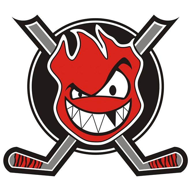 Hannover Firebugs Logo